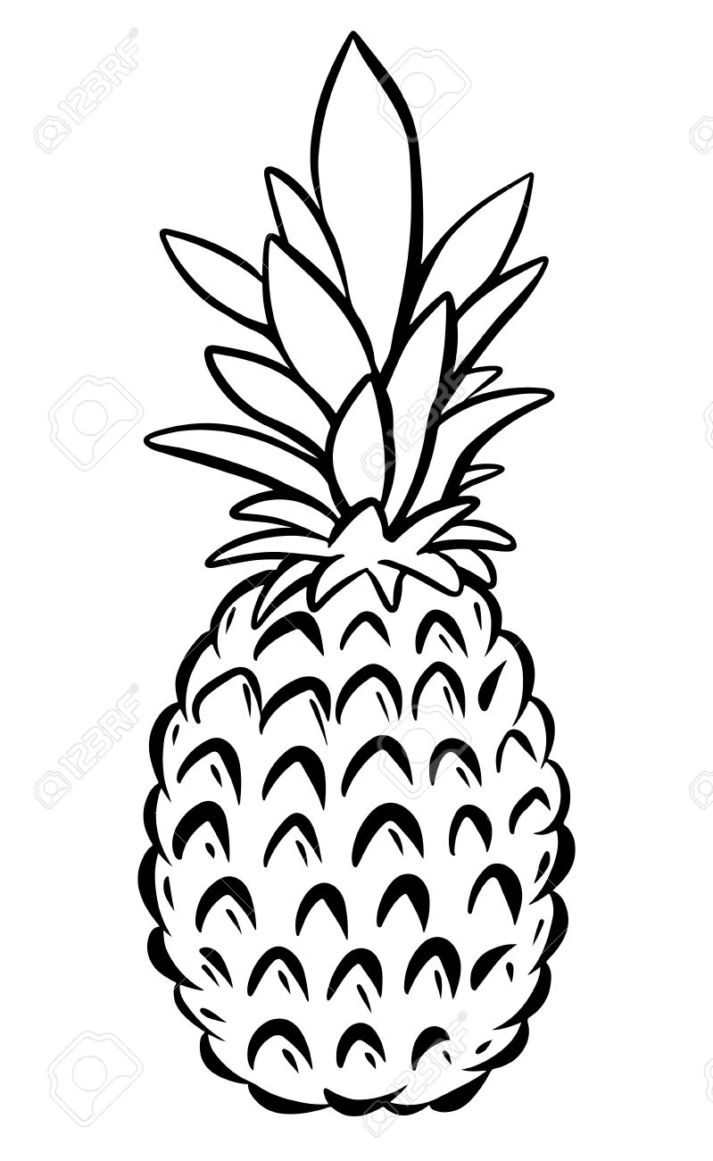 Simple Pineapple Drawing