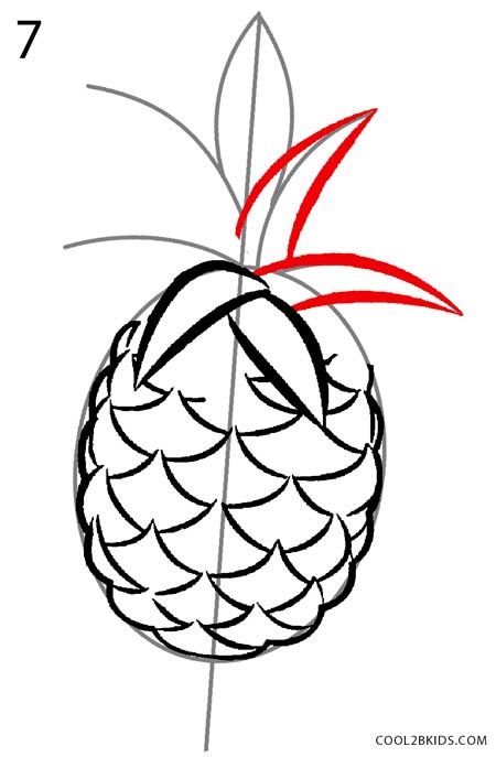450x687 How To Draw A Pineapple