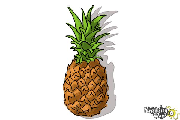600x400 How To Draw A Pineapple