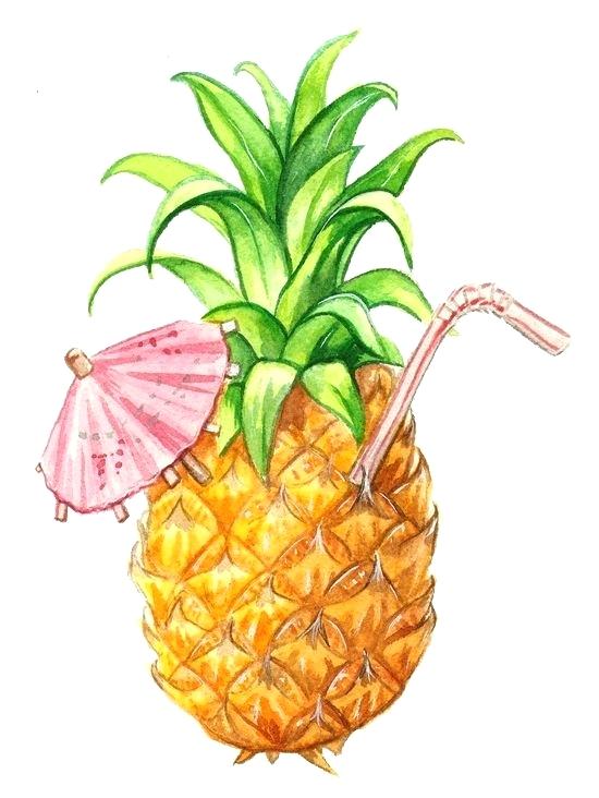 550x732 Pinapple Drawing Drawing