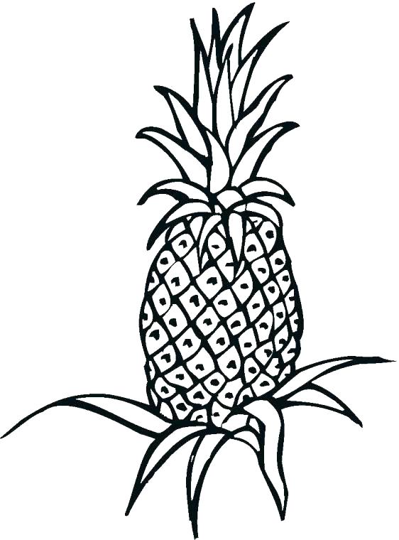 562x760 Pineapple Coloring