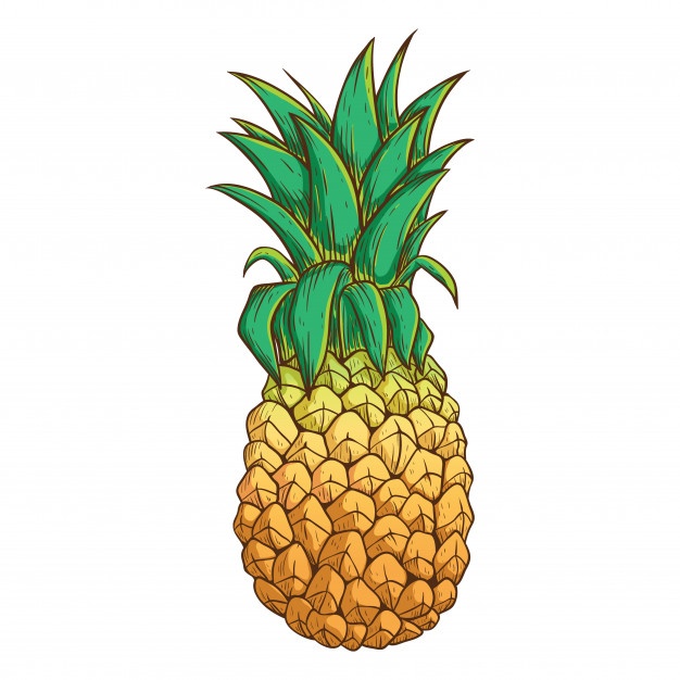626x626 Pineapple Vectors, Photos And Free Download