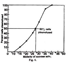 281x255 Top Experiments On Osmosis