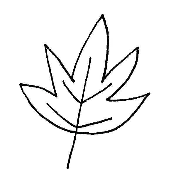 600x644 Easy To Draw Leaves Drawing A Leaf How To Draw Simple Leaves Step