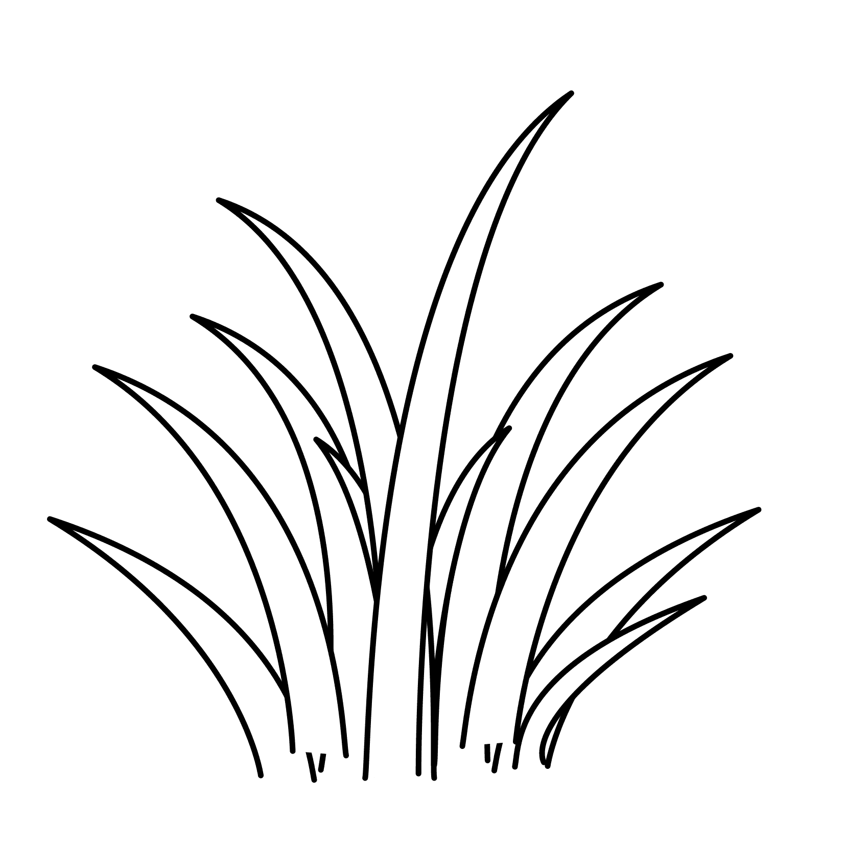 1654x1654 seagrass drawing simple for free download