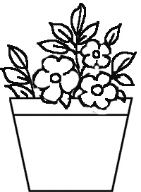 200x272 How To Draw Nature Step