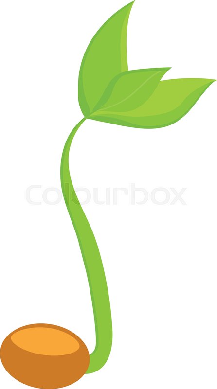 446x800 Simple Sprouting Seed Drawing Sprout, Stock Vector Colourbox