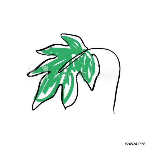 500x500 Stylized Monstera Leaf One Line Art Contour Simple Drawing