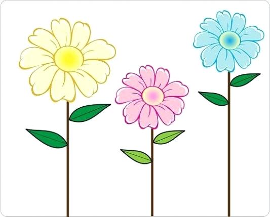 533x429 Daisy Flower Drawings