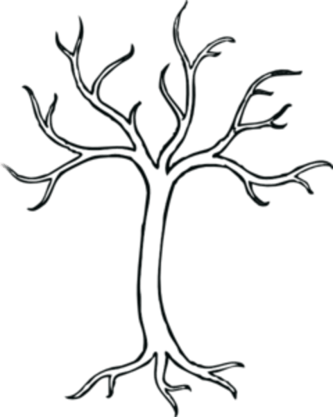 480x600 Drawing Branches Simple Transparent Png Clipart Free Download
