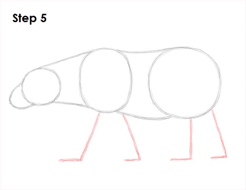 500x386 How To Draw A Polar Bear