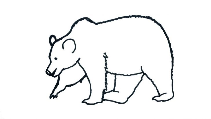 728x410 Simple Bear Paw Drawing Of A Teddy Polar I Fertility