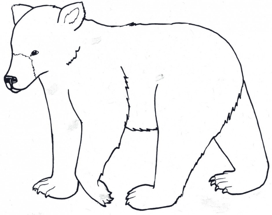 940x745 Simple Drawing Of A Bear Fresh Simple Polar Bear Drawing Google