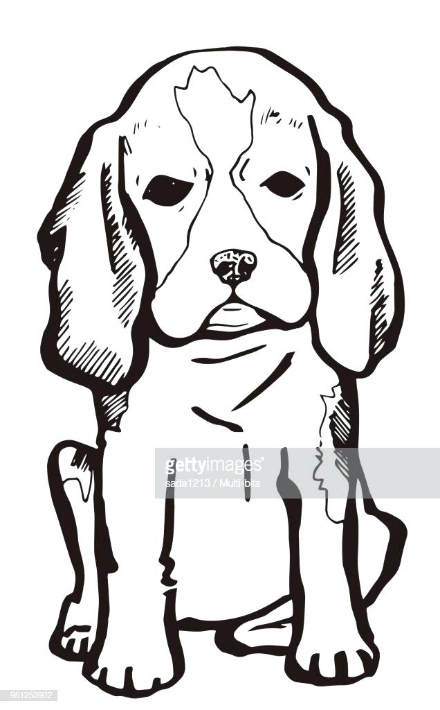 636x1024 puppies drawings cutest puppies drawings