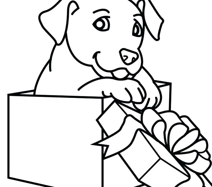 678x600 Cute Puppies To Draw Cute Puppy Drawing Cartoon