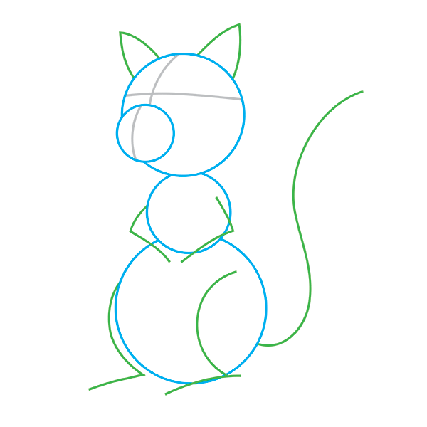 600x600 Raccoon Cartoon Step