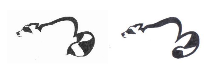 736x255 Raccoon Tattoo