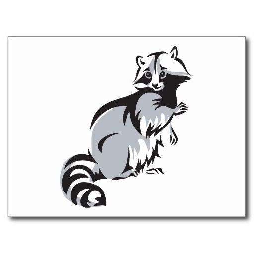 512x512 Racoon Raccoons Coon Mask Procyon Cute Cartoon Postcard Zazzle