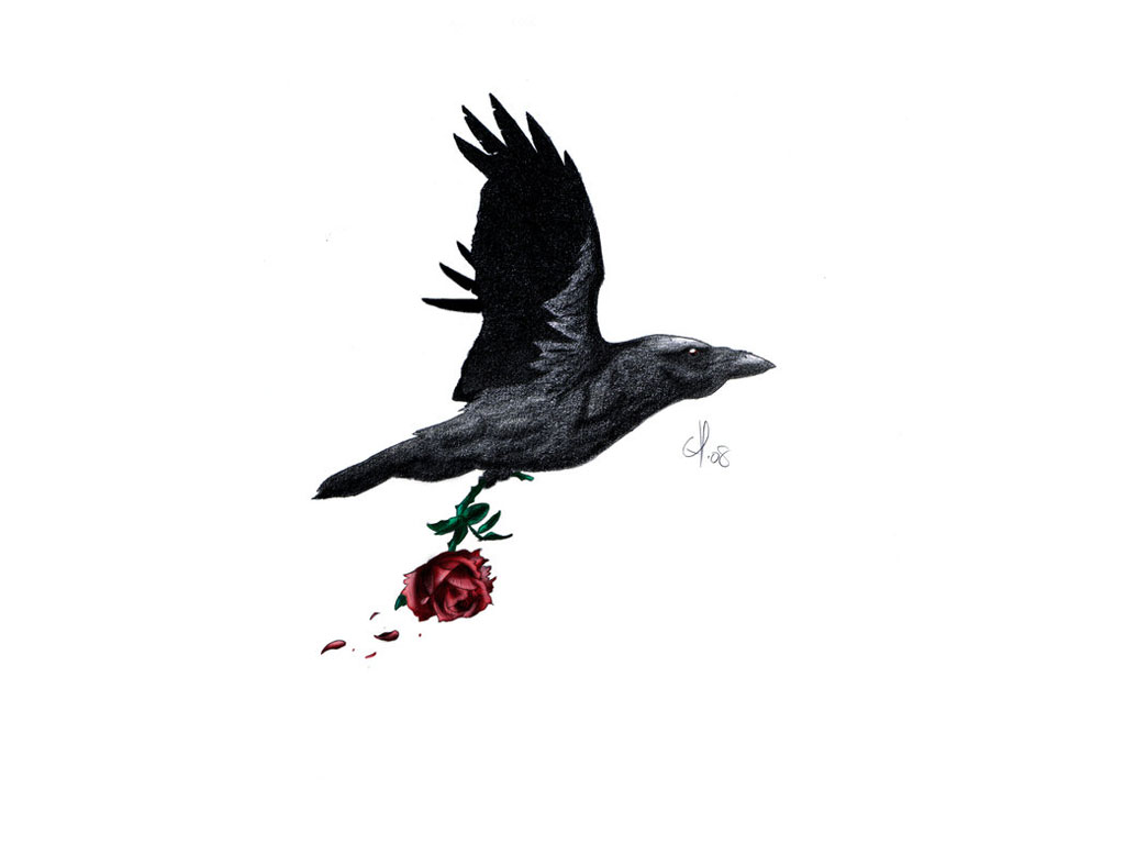 1024x768 Raven Tattoo Silhouette