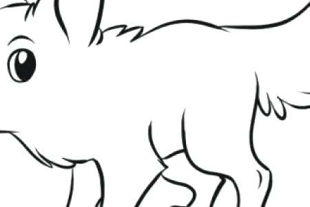 450x300 Easy Animal Drawings Step