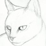 150x150 Simple Realistic Drawings Cat Drawings Pencil How To Draw A Cat