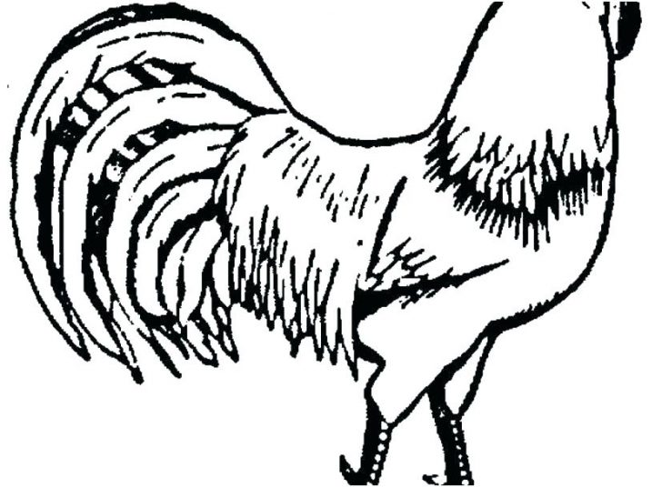 728x536 Coloring Pages Halloween Cat Online For Toddlers Disney Pdf Simple