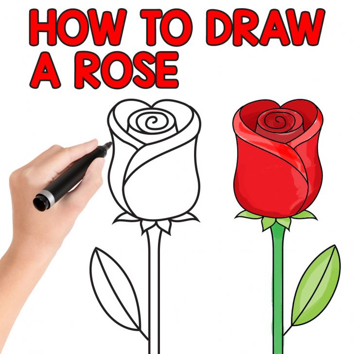 728x728 Easy Drawing Of A Rose Bud Pencil Cute Blue Beautiful Plant