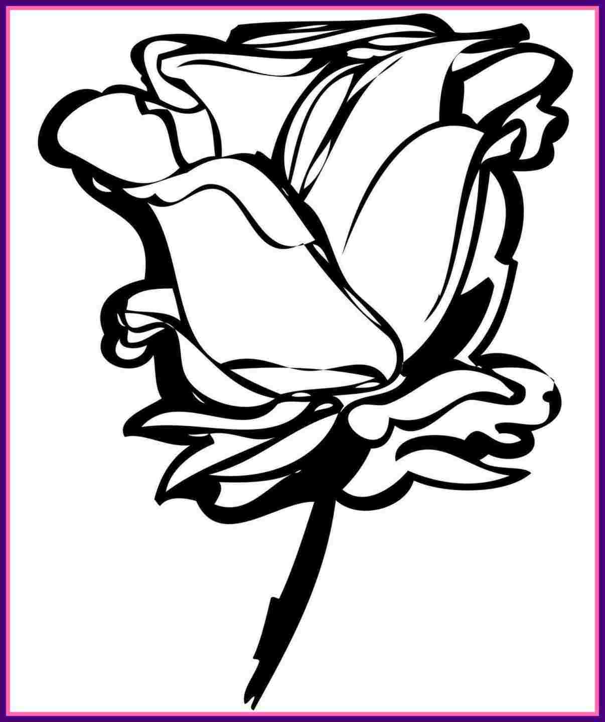 1206x1440 Simple Rose Flower Drawing Drawing Fine Art