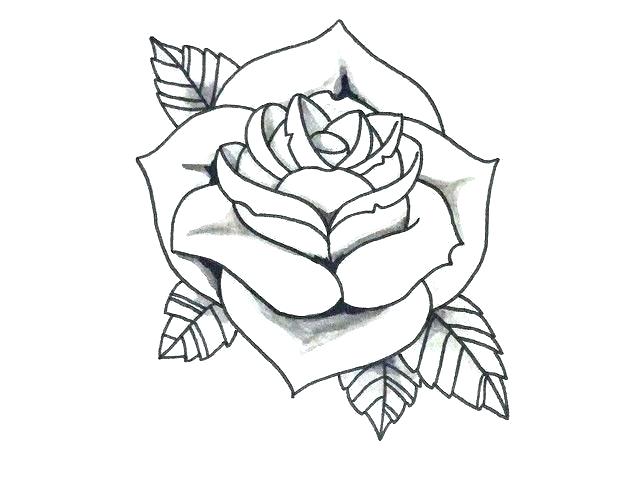 640x480 Draw Easy Rose