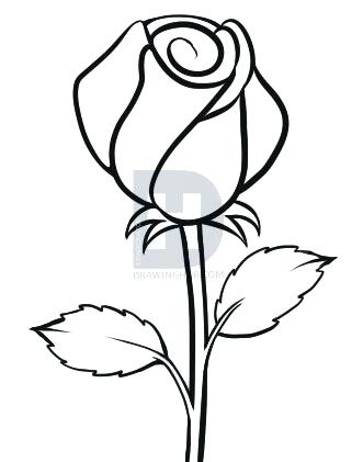 331x421 Easy To Draw A Rose Running