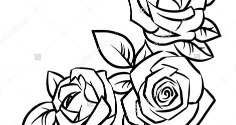 471x250 Easy Drawing Of A Rose Bud Beautiful Red Petal Black Iydunetwork