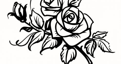 471x250 Black And White Flowers Simple Rose Drawing Free Border Line