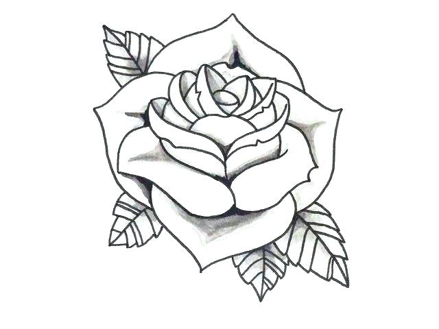640x480 Rose Outline Drawing Google Search Flowers Easy Flower To Draw