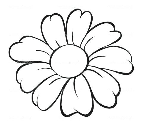 480x422 Simple Flower Drawings Flowers Drawing Simple Flower Drawings Fine