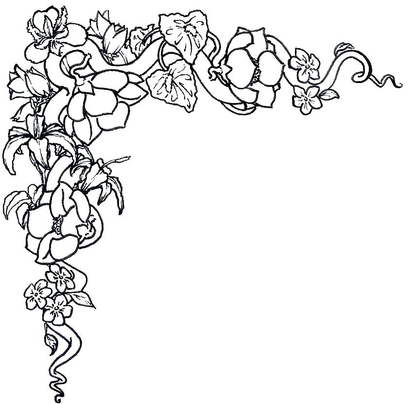 852x832 Draw Simple Flowers