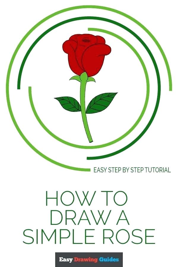 600x900 Draw Simple Rose