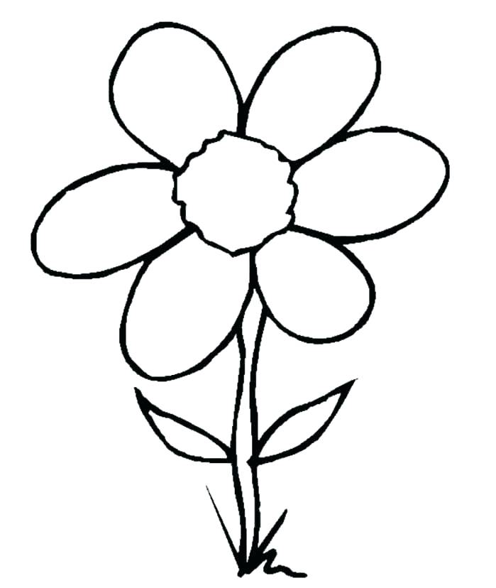 699x828 Flower Simple Drawing