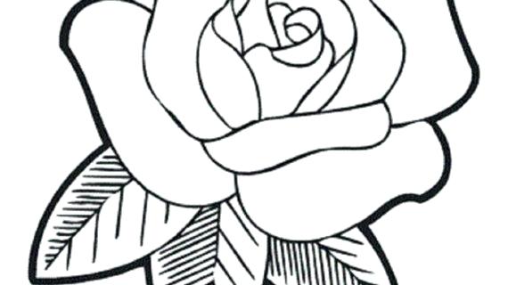 570x320 Simple Rose Bud Drawing