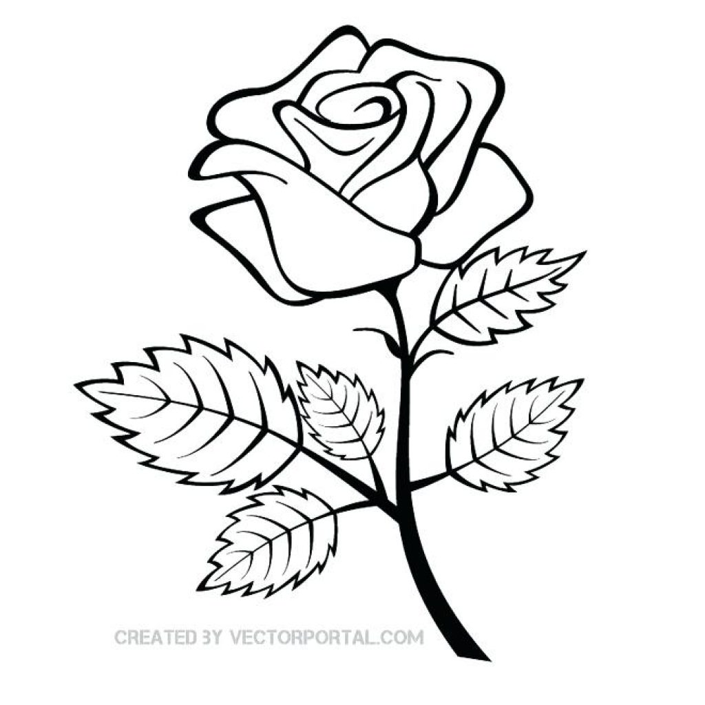 1024x1024 Rose Outline Drawing Animal Clipart House Clipart Online Download
