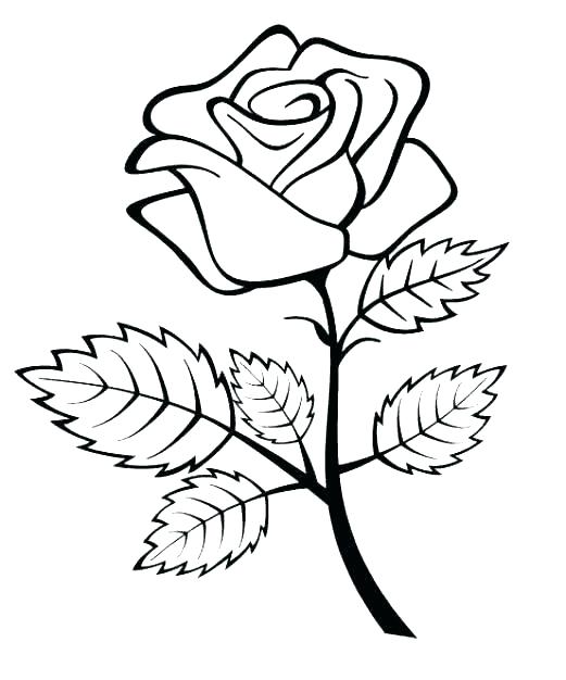 521x626 Simple Rose Outline Clip Art Images Silhouette At Free