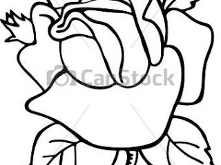 320x240 Simple Rose Line Drawing Rose Flower Line Drawing Simple Black