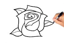 210x140 Tag Rose Line Drawing Simple