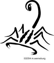 Simple Scorpion Drawing