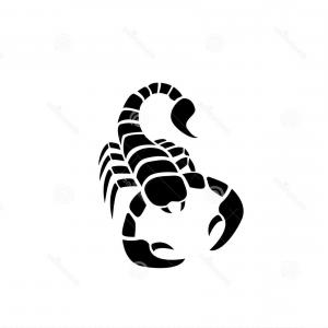 300x300 Vintage Scorpion Hand Drawing Gm Catchsplace