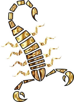 248x340 Drawing Scorpion Anatomy Transparent Png Clipart Free Download