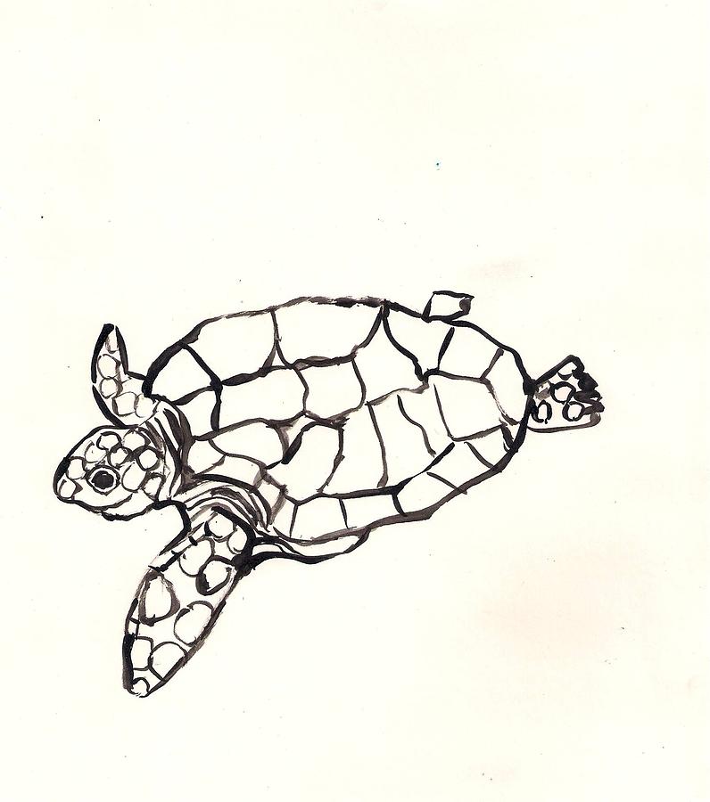 796x900 Sea Turtle Drawing