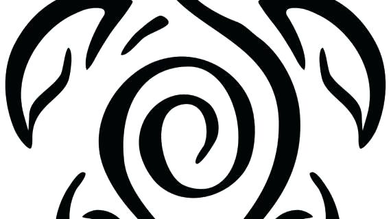 570x320 turtle drawings designs aqua marine sea turtle sea turtle drawing