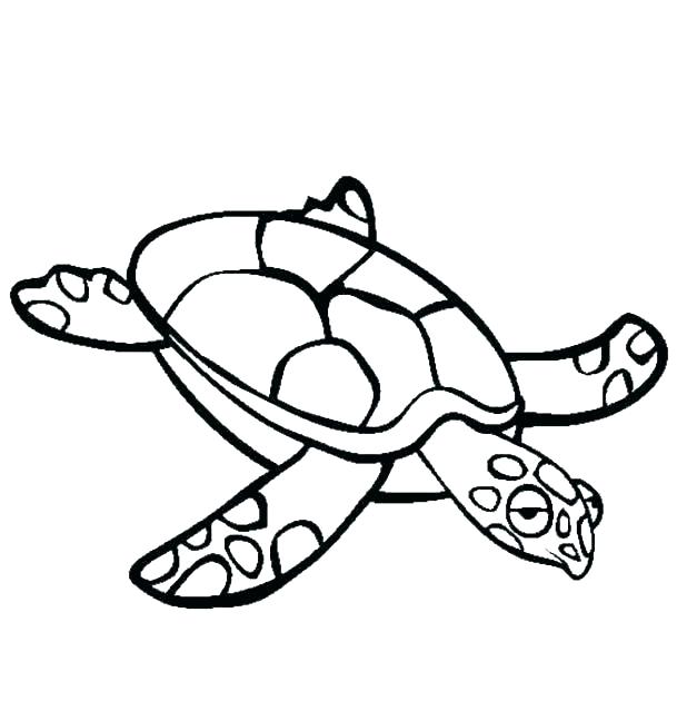 618x630 Turtle Outline Tattoo Turtle Coloring