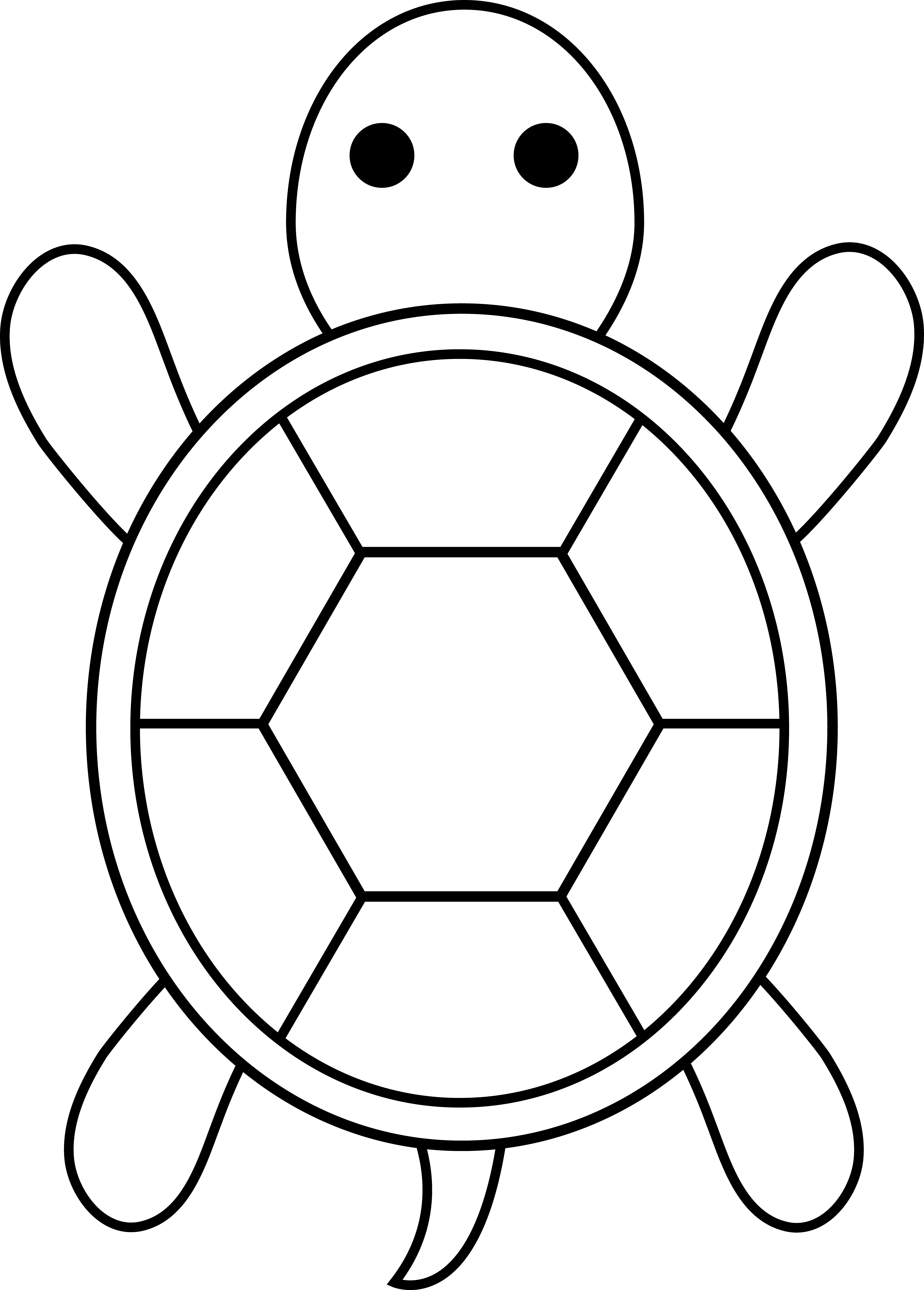5178x7226 Turtles Simple Transparent Png Clipart Free Download