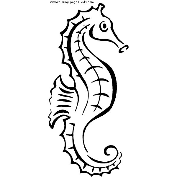 600x600 Seahorse Coloring